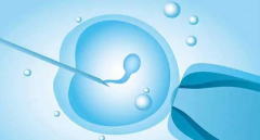 试管婴儿促排卵效果和哪些因素有关？促排后出现空卵泡怎么办？