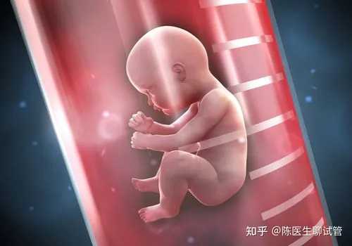 世纪助孕骗局_广州世纪助孕是真的吗?,温州供卵中介群怎么找 2023温州做试管哪