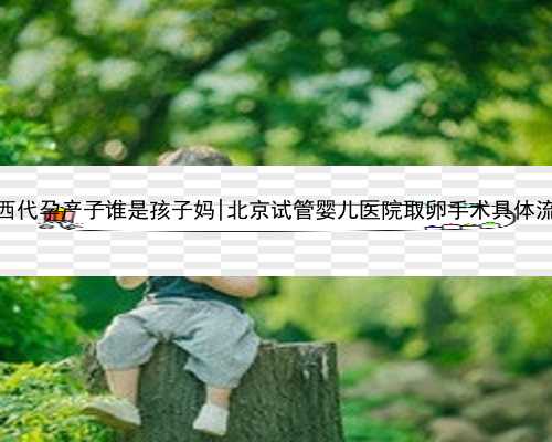 广西代孕产子谁是孩子妈|北京试管婴儿医院取卵手术